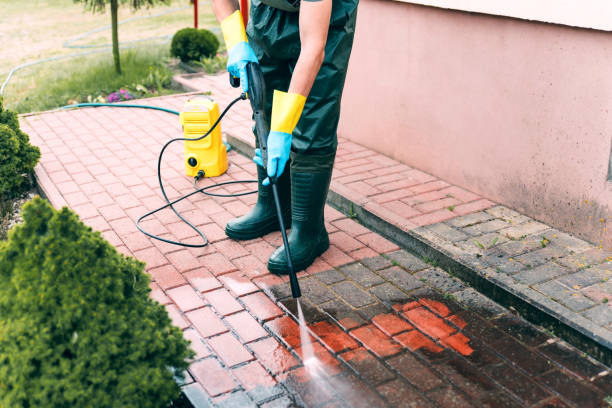 Best Dumpster Area Cleaning  in Globe, AZ